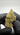 rollzeurope-amnesia-hydro-cbd-flowe-1080p