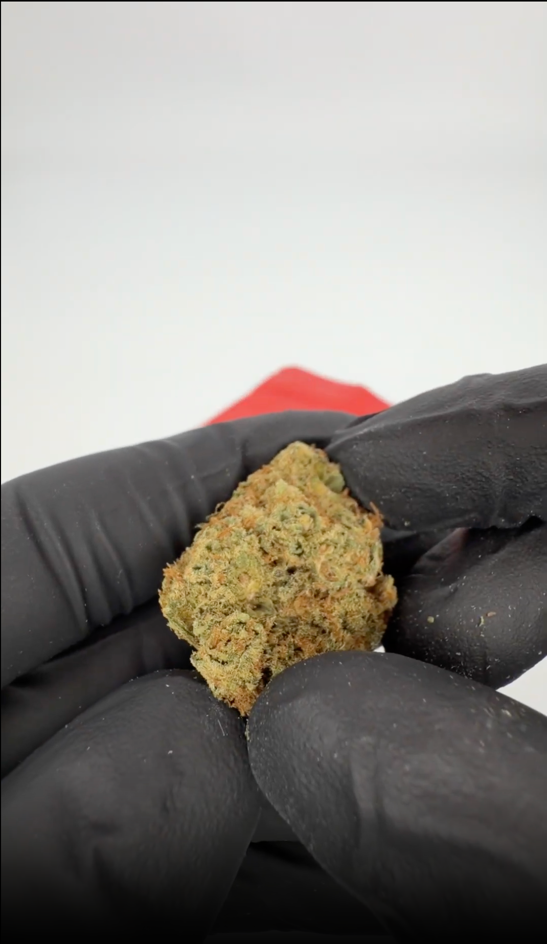 rollzeurope-cartel-colla-thca-flowe-1080p