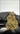 rollzeurope-gary-payton-thca-flowe-1080p