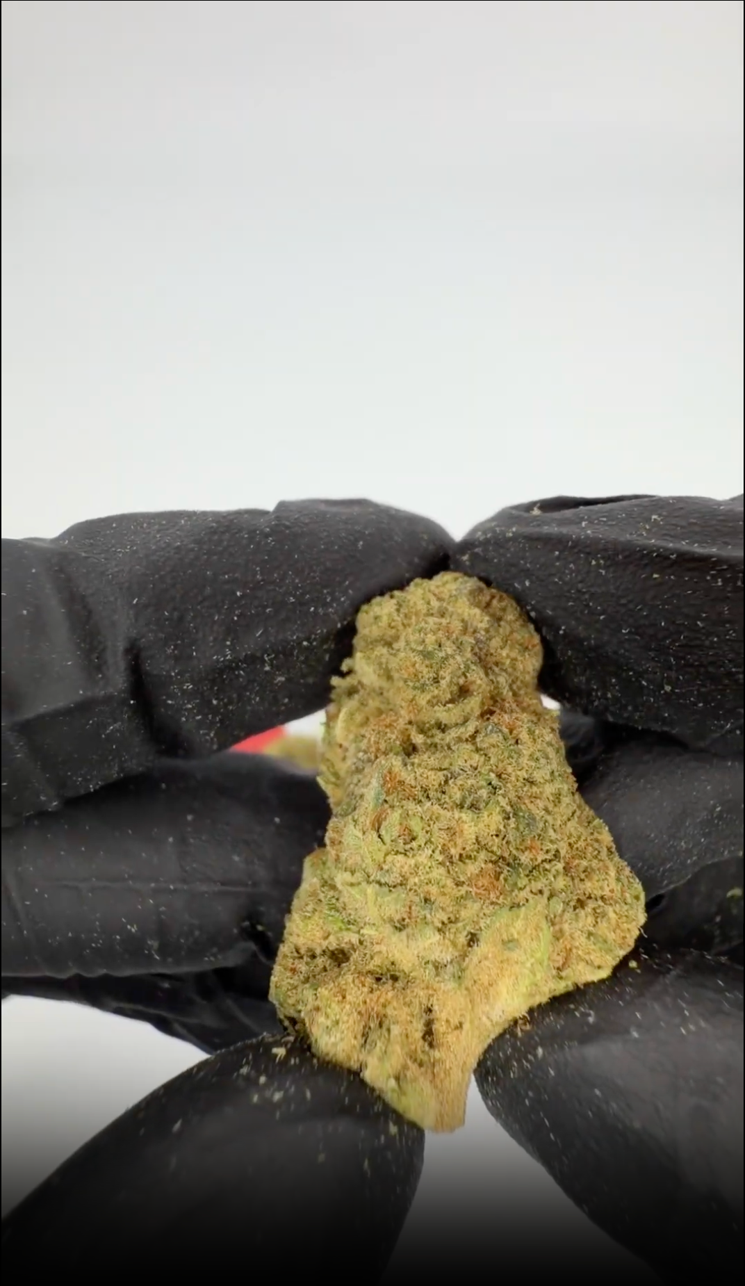 rollzeurope-happy-weeds-thca-flowe-1080p