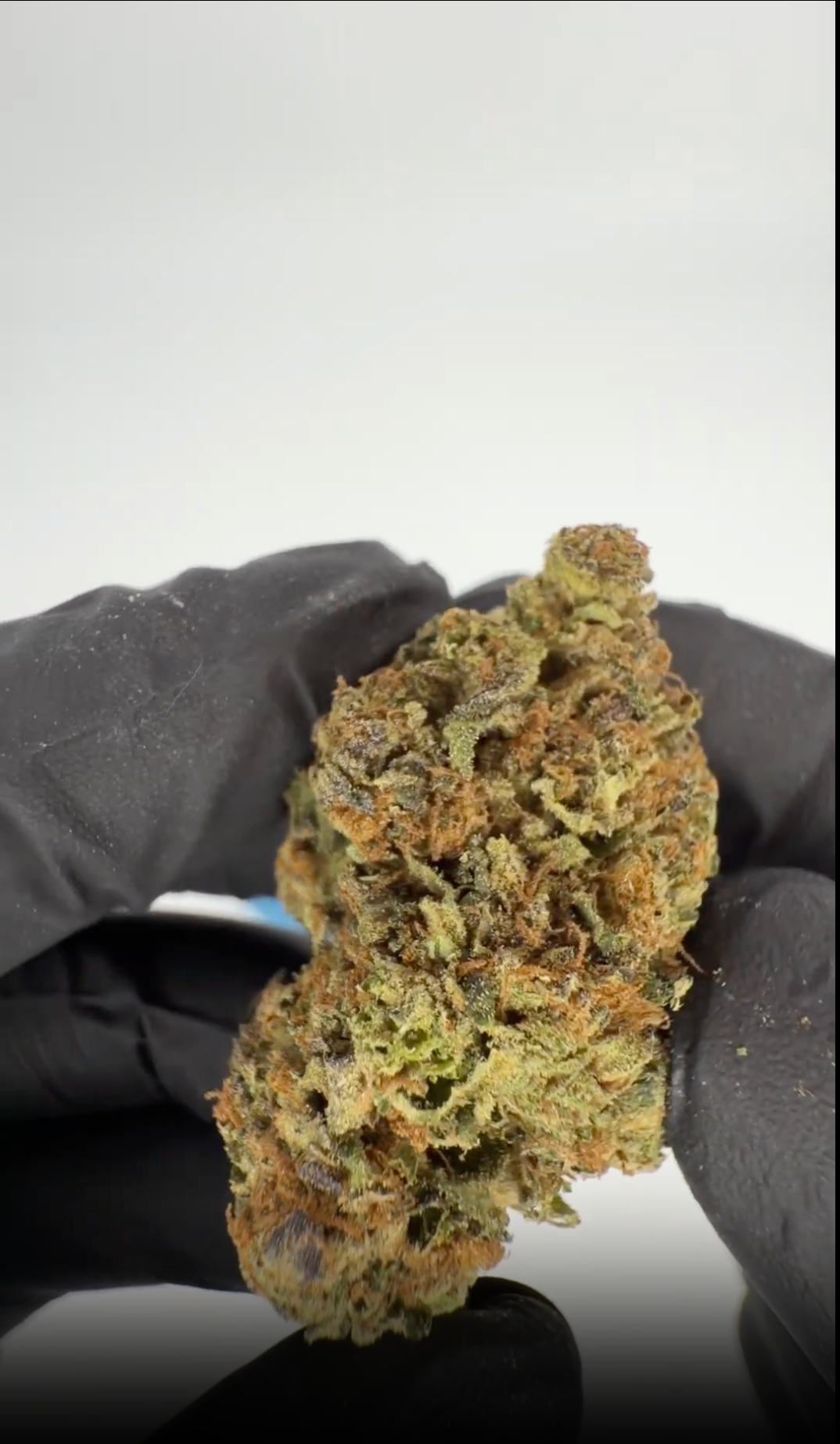 rollzeurope-montgomery-benz-thca-flowe-1080p