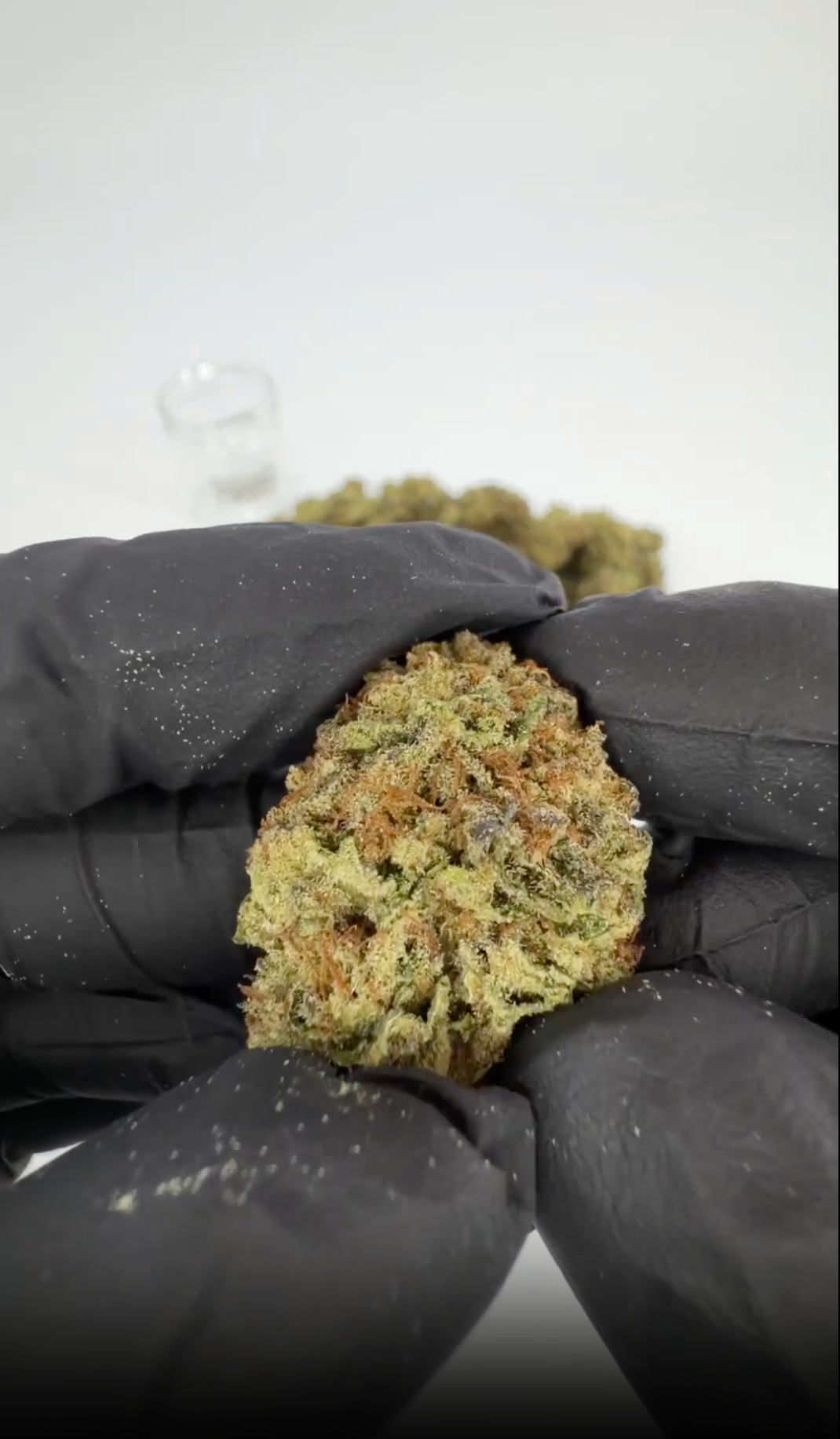 rollzeurope-permanent-marker-thca-flowe-1080p
