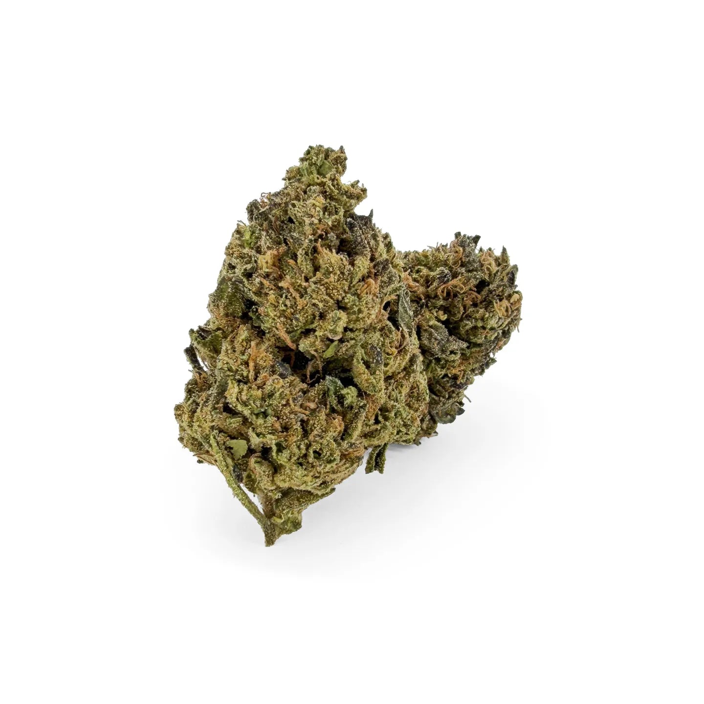 THC-A 31% Flower Biscotti Mintz
