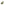 THC-A 31% Flower Gary Payton