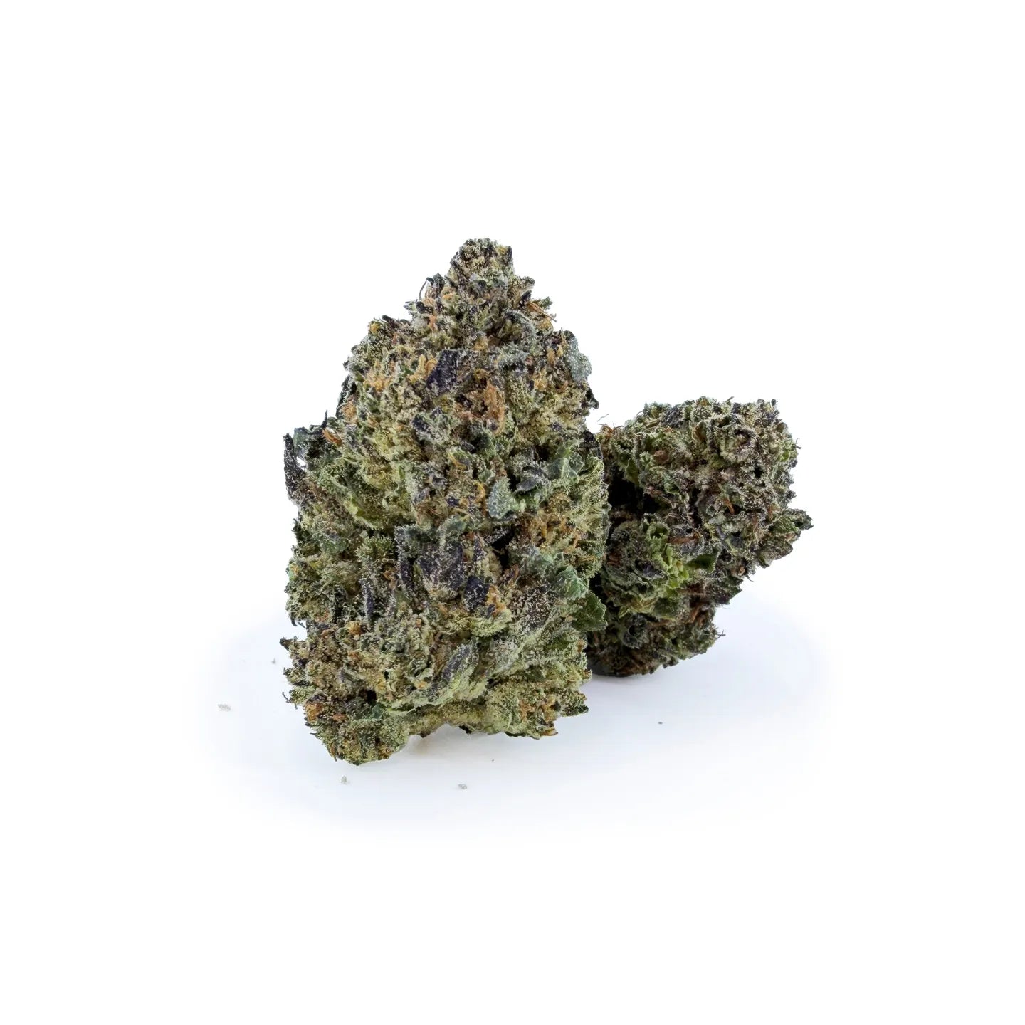 Rollz Miracle Alien Cookies THCA indoor dried cannabis flower – own cultivation and production.