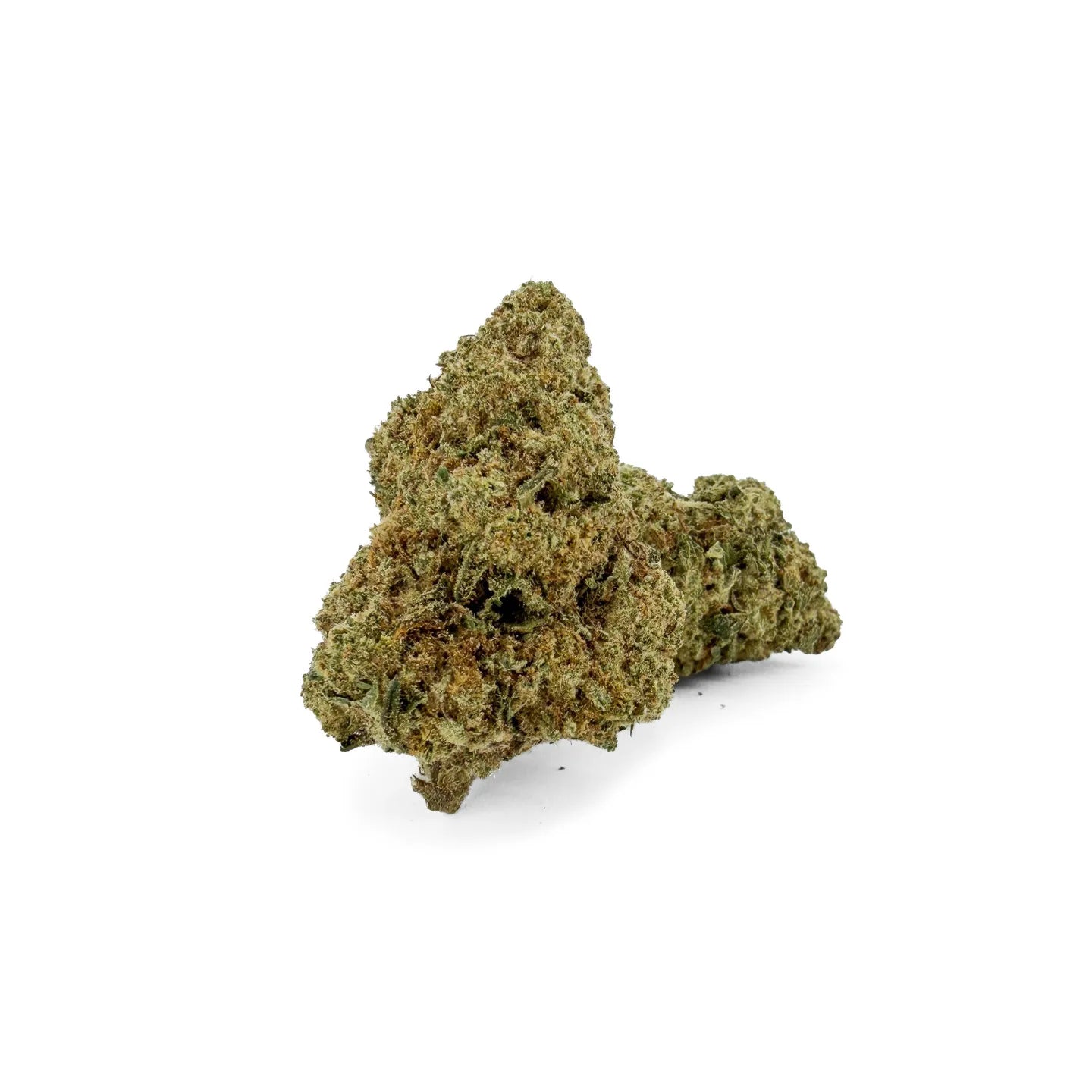 White Russian THCA indoor dried cannabis flower Glookies by Rollz – own cultivation and production.